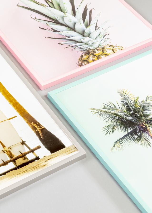 Raam New Lifestyle Roosa 30x40 cm– paspartuu valge 8x12 tolli