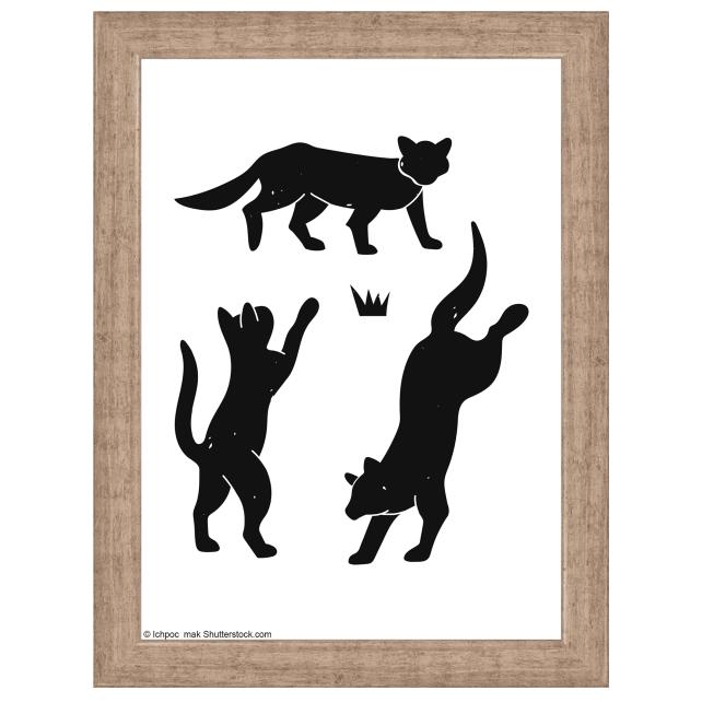 Raam Liv Hall 13x18 cm - paspartuu valge 3,5x5 tolli