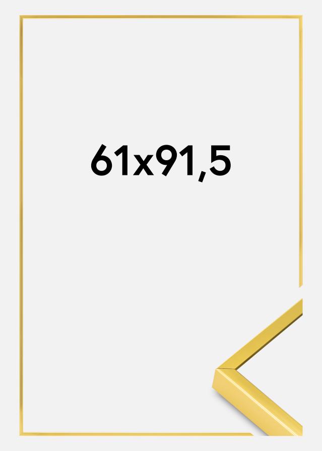 Alumiiniumraam Akruulklaas kuldne 61x91,5 cm