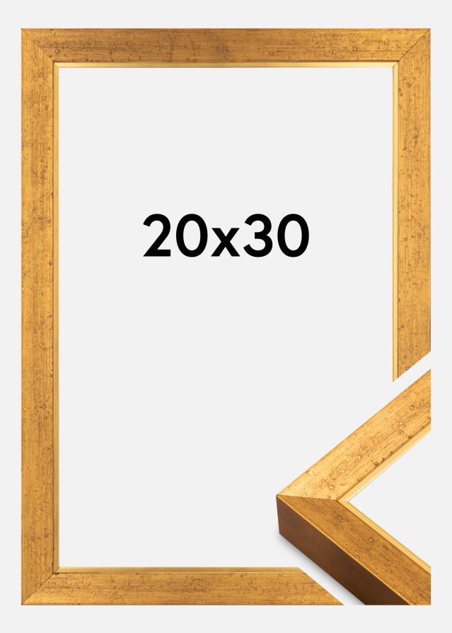 Raam Brema Akrüülklaas Kuldne 20x30 cm