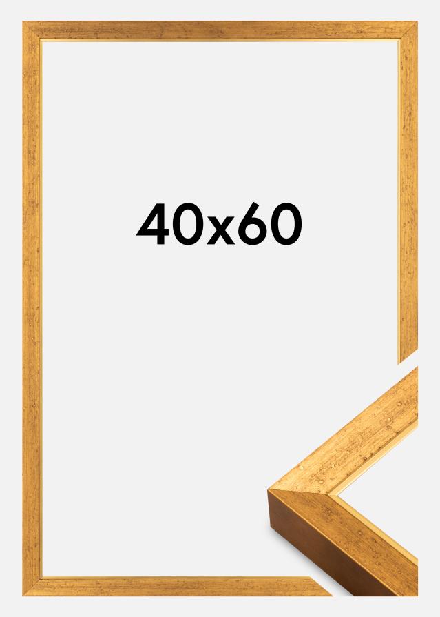 Raam Brema Akrüülklaas Kuld 40x60 cm