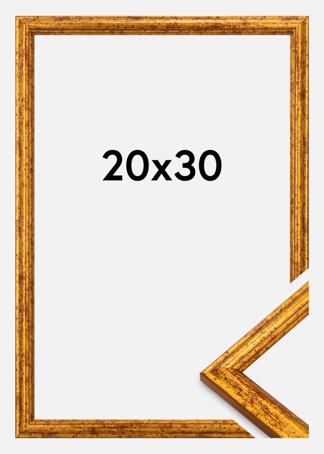 Raam Claudia Akrüülklaas Kuld 20x30 cm