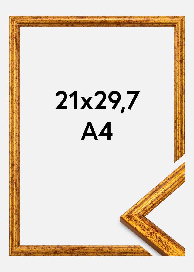 Raam Claudia Akrüülklaas Kuld 21x29,7 cm (A4)