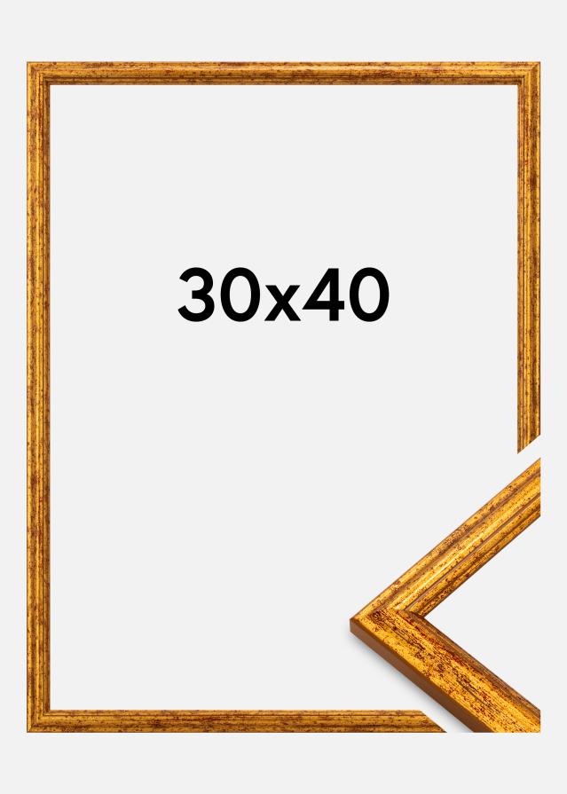 Raam Claudia Akrüülklaas Kuld 30x40 cm