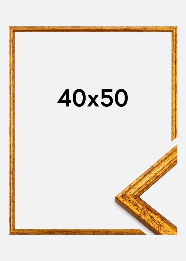 Raam Claudia Akrüülklaas Kuld 40x50 cm