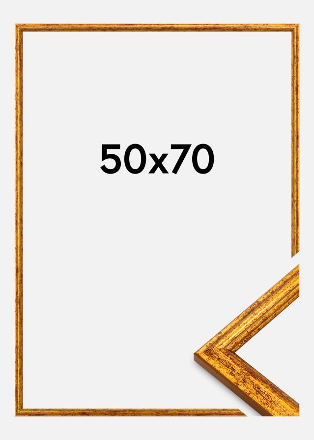 Raam Claudia Akrüülklaas Kuldne 50x70 cm