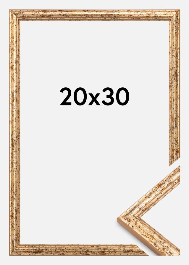 Raam Claudia Akrüülklaas Hõbe 20x30 cm