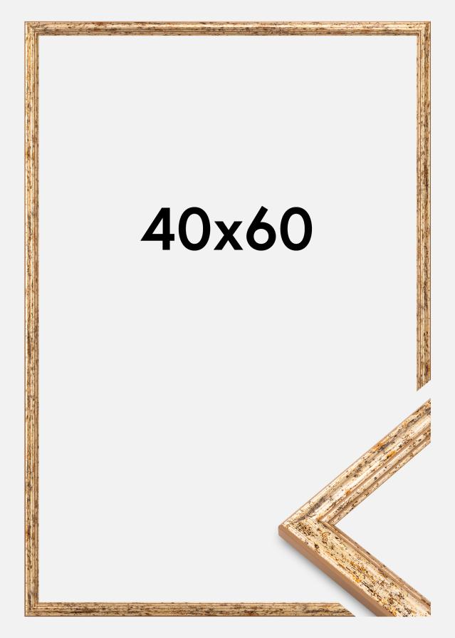 Raam Claudia Akrüülklaas Hõbe 40x60 cm