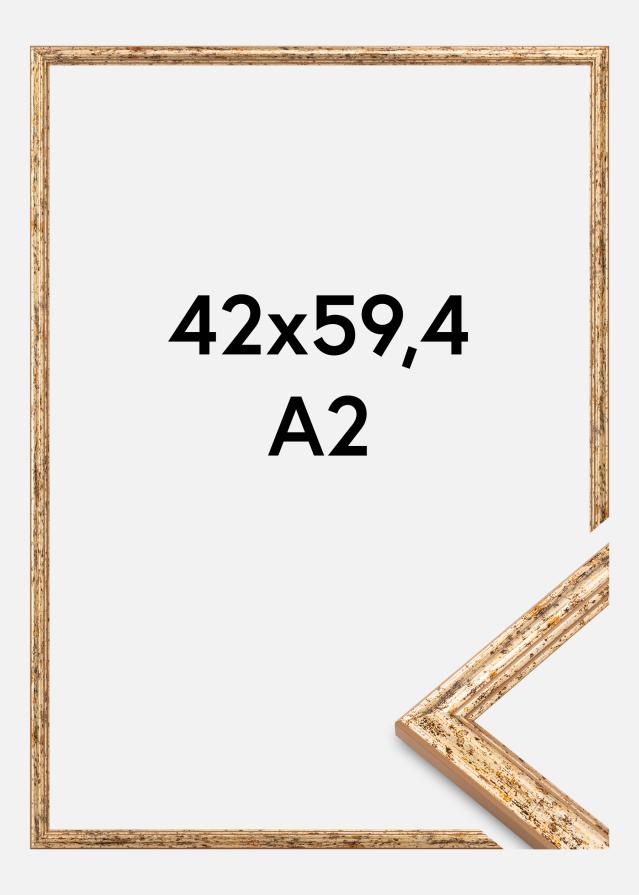 Raam Claudia Akrüülklaas Hõbe 42x59,4 cm (A2)