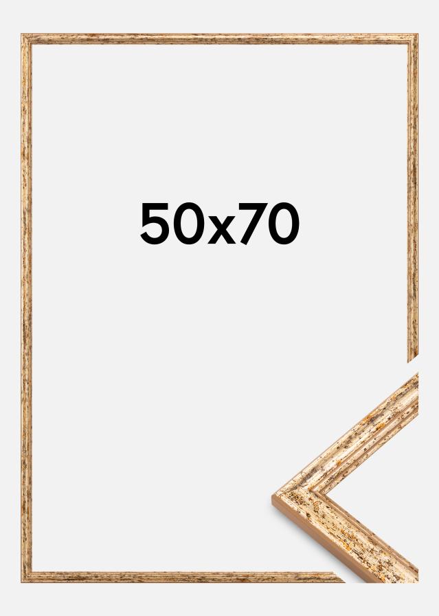 Raam Claudia Akrüülklaas Hõbe 50x70 cm