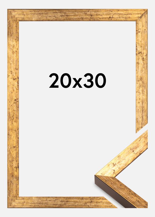 Raam Dune Akrüülklaas Kuld 20x30 cm