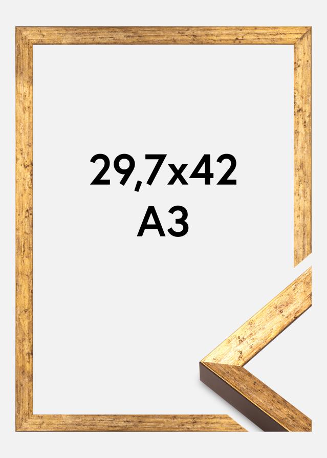 Raam Dune Akrüülklaas Kuld 29,7x42 cm (A3)