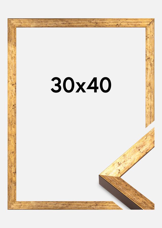 Raam Dune Akrüülklaas Kuld 30x40 cm