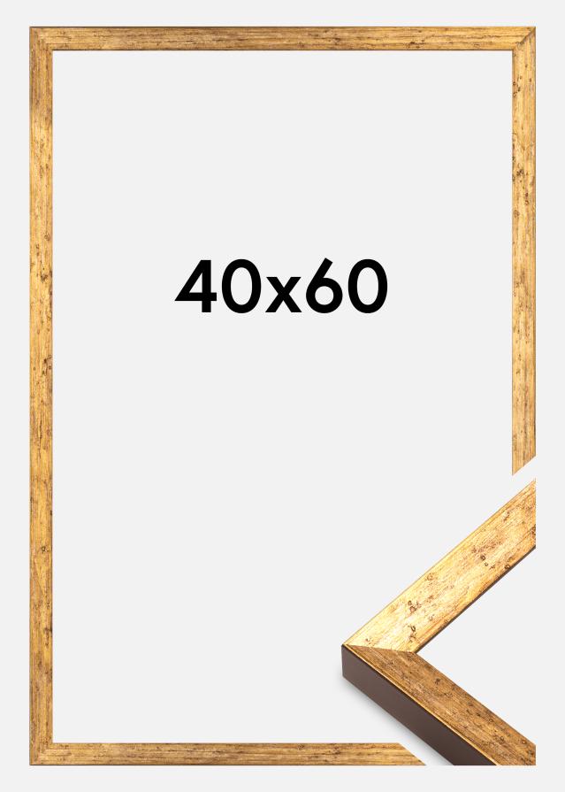 Raam Dune Akryülklaas Kuld 40x60 cm