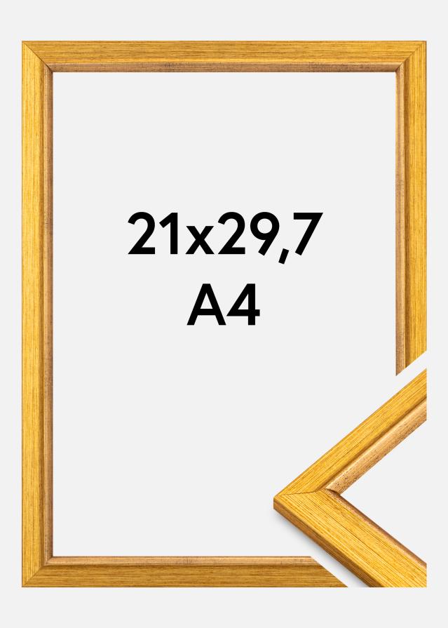 Raam Marisa Akrüülklaas Kuld 21x29,7 cm (A4)