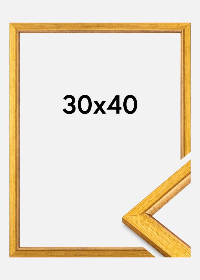 Raam Marisa Akrüül Klaas Kuld 30x40 cm