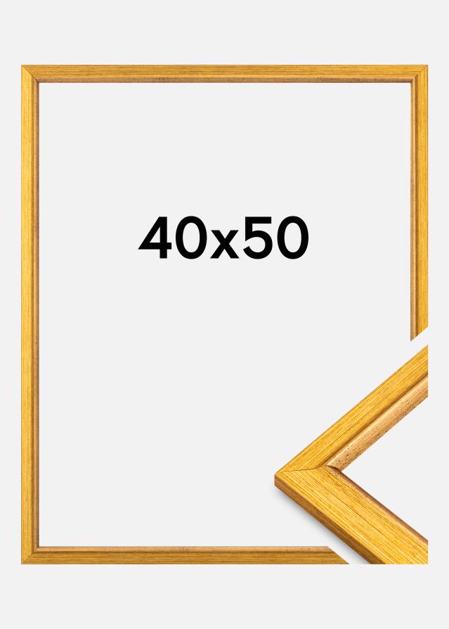 Raam Marisa Akrüülklaas Kuld 40x50 cm