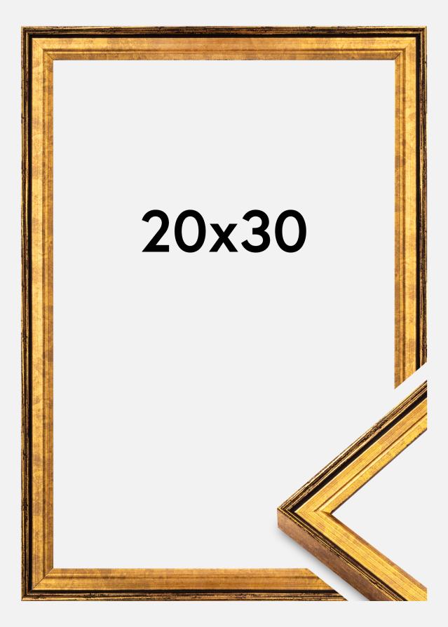 Raam Ringa Akrüülklaas Kuld 20x30 cm