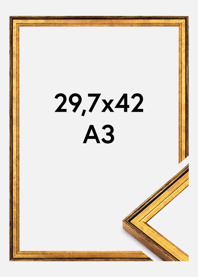 Raam Ringa Akrüülklaas Kuld 29,7x42 cm (A3)