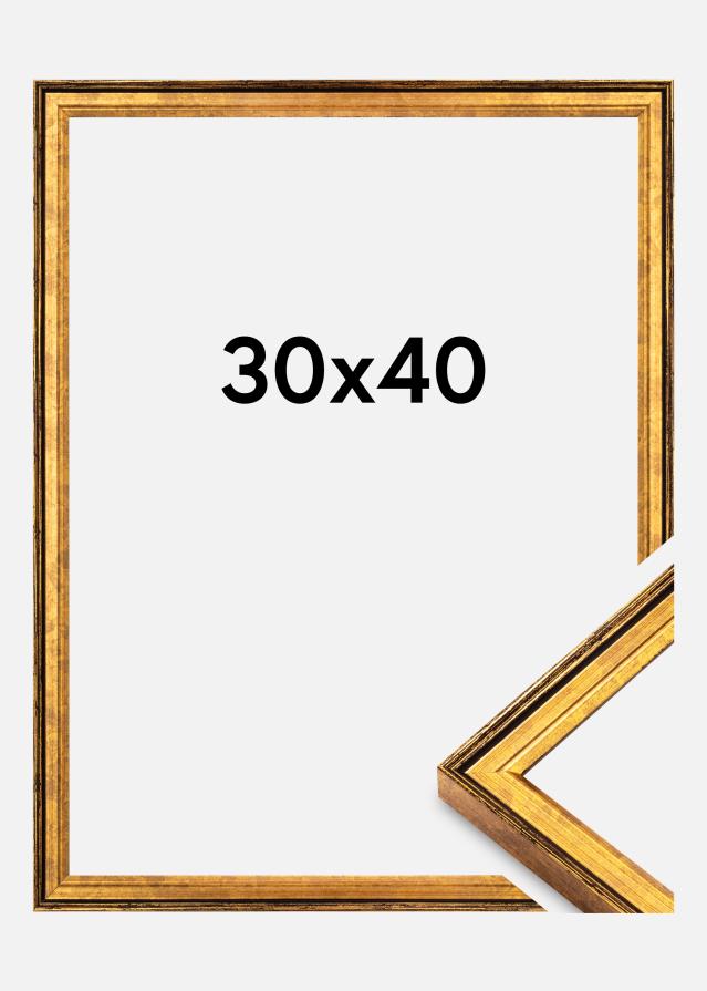 Raam Ringa Akrüülklaas Kuld 30x40 cm