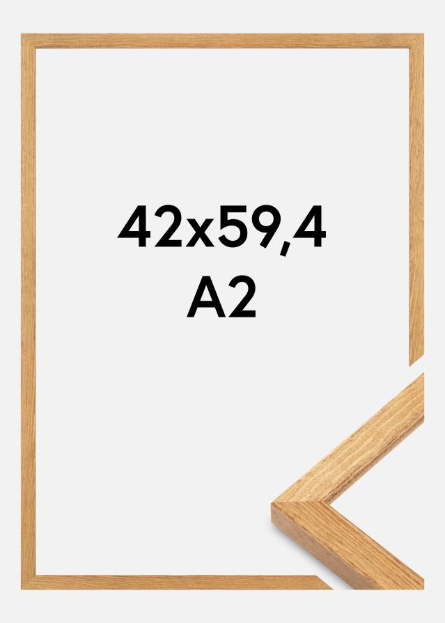 Raam Tulipa Akrüülklaas Tamm 42x59,4 cm (A2)