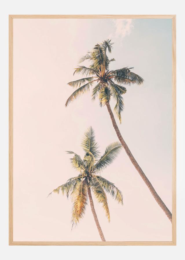 Tropical Palms Plakat