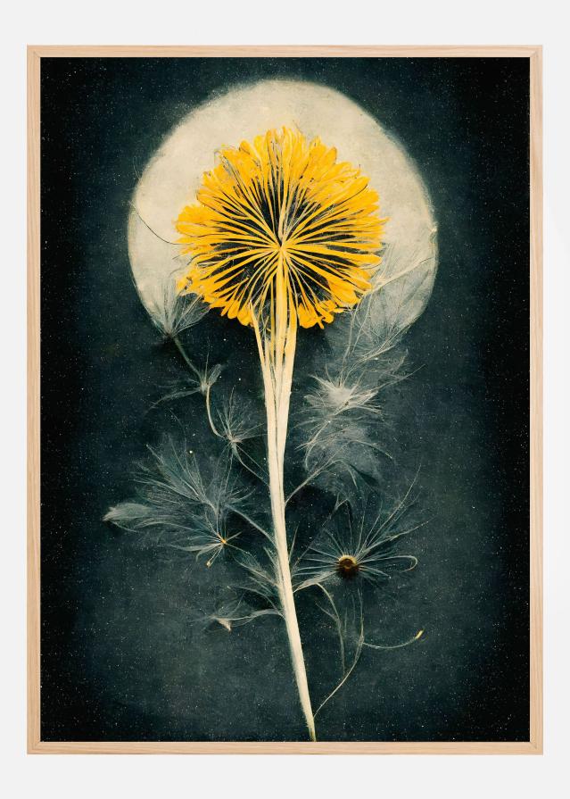Dandelion Plakat