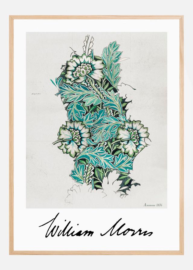 Anemone Plakat