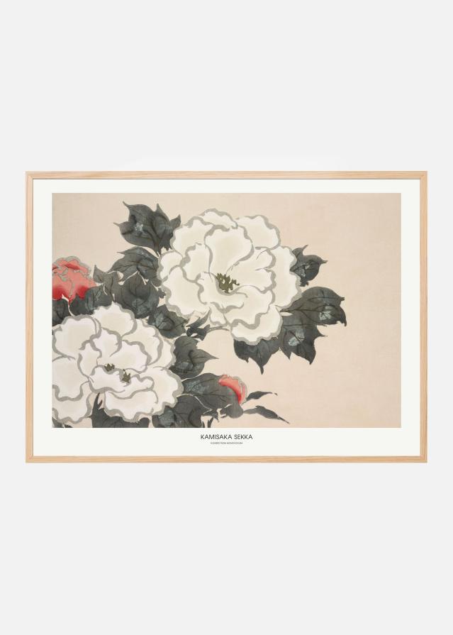 Flowers From Momoyogusa Plakat