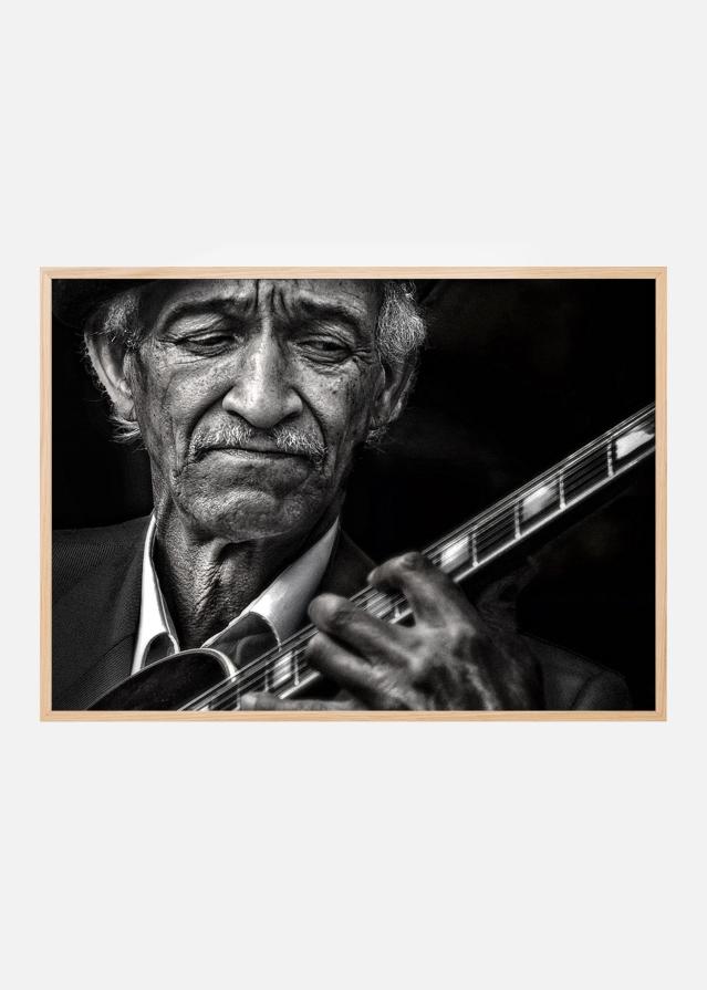 the guitarist Plakat