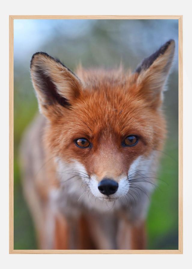 Rust in the wild Plakat