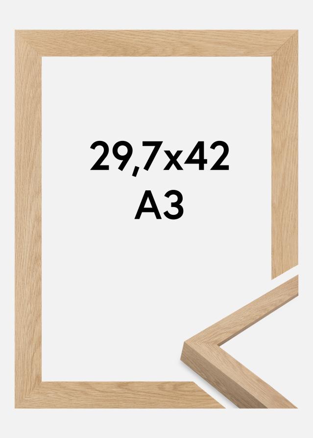 Raam Wells Akrüülklaas Tamm 29.7x42 cm (A3)