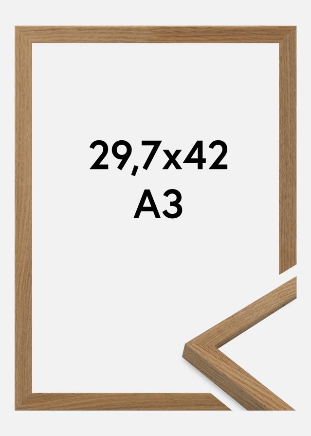 Raam Salisbury Akrüülklaas Tamm 29,7x42 cm (A3)