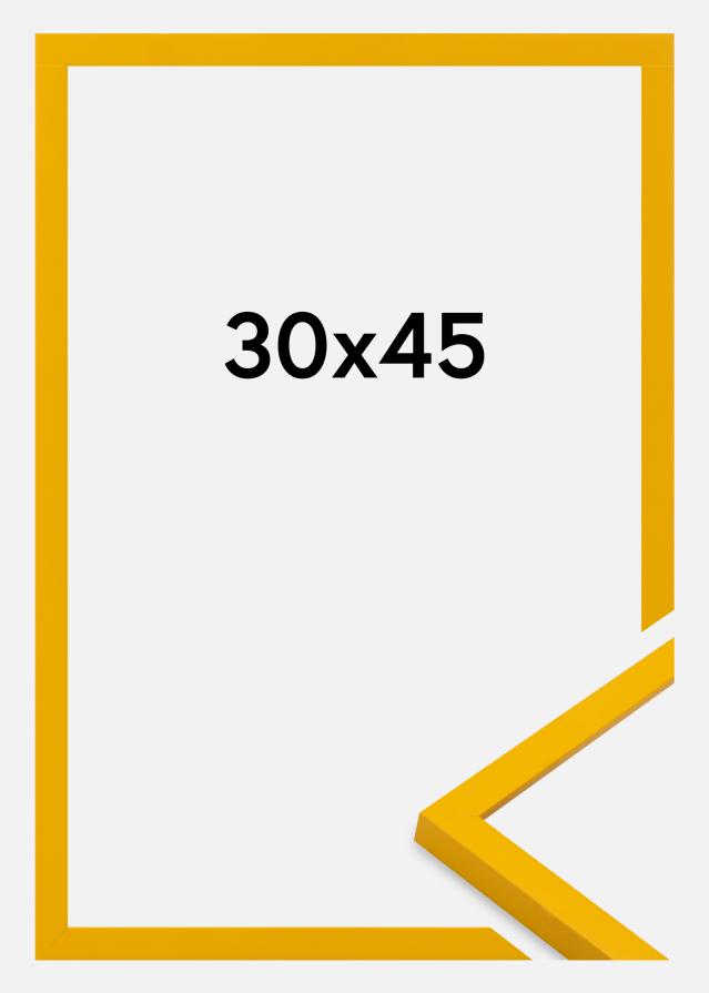 Raam Kent Akrüülklaas Kuld 30x45 cm