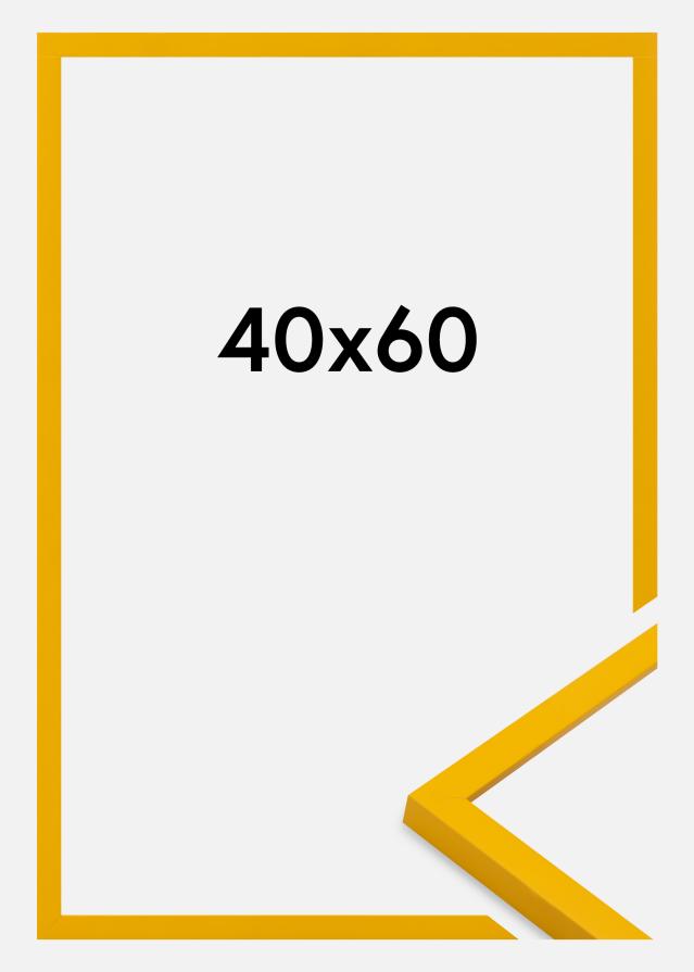 Raam Kent Akrüülklaas Kuld 40x60 cm