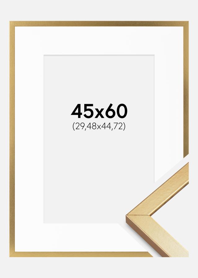 Raam Minerva Kuldne 45x60 cm - paspartuu valge 12x18 tolli