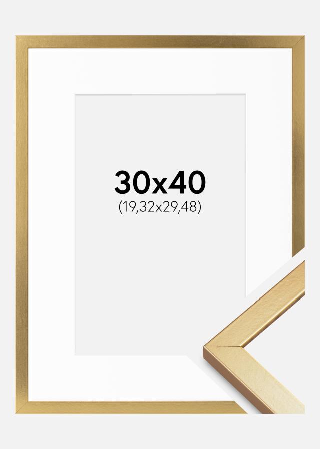 Raam Minerva Kuldne 30x40 cm - paspartuu valge 8x12 tolli