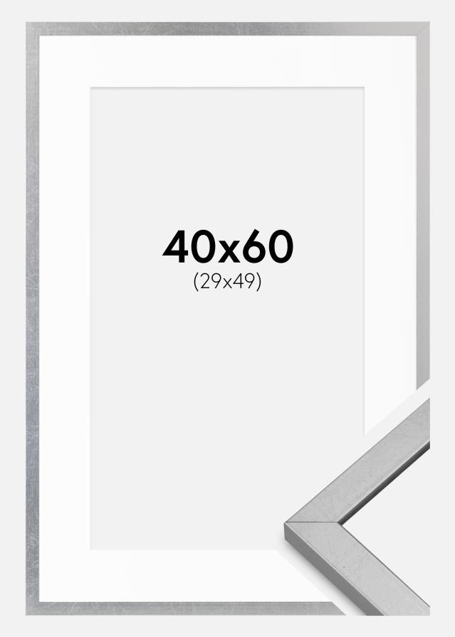 Raam Minerva Hõbedane 40x60 cm - paspartuu Valge 30x50 cm