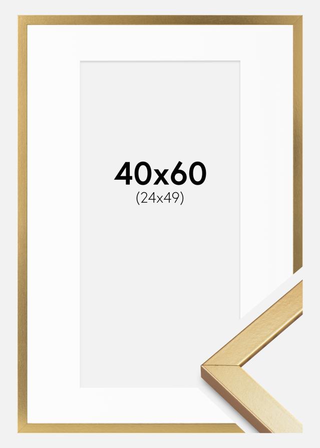 Raam Minerva Kuldne 40x60 cm - paspartuu Valge 25x50 cm