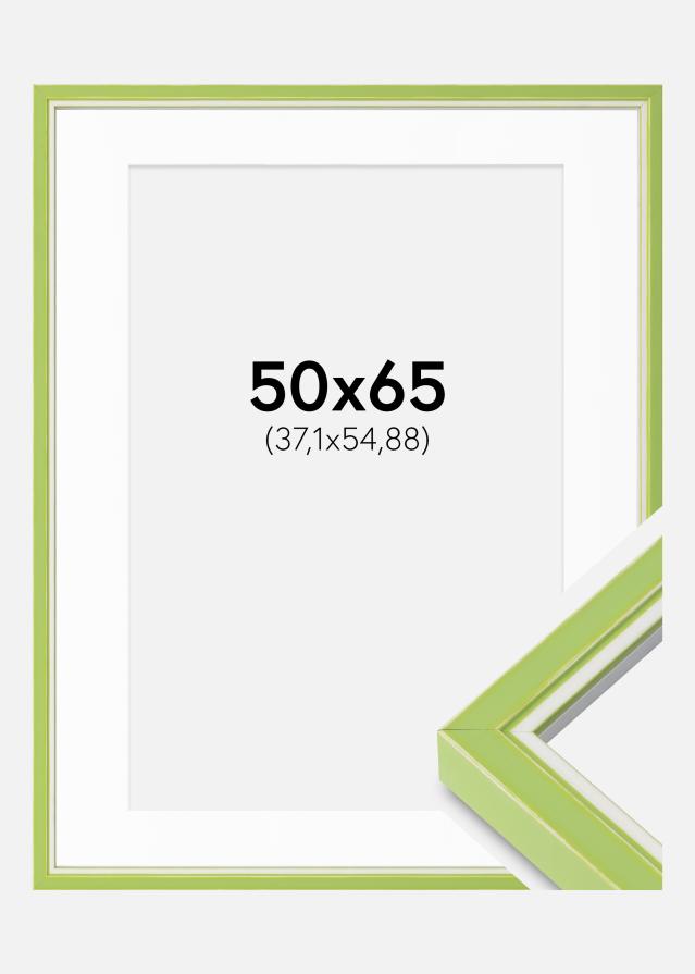 Raam Diana Heleroheline 50x65 cm - paspartuu valge 15x22 tolli