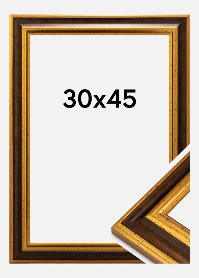 Raam Aberystwyth Akrüülklaas Kuld 30x45 cm