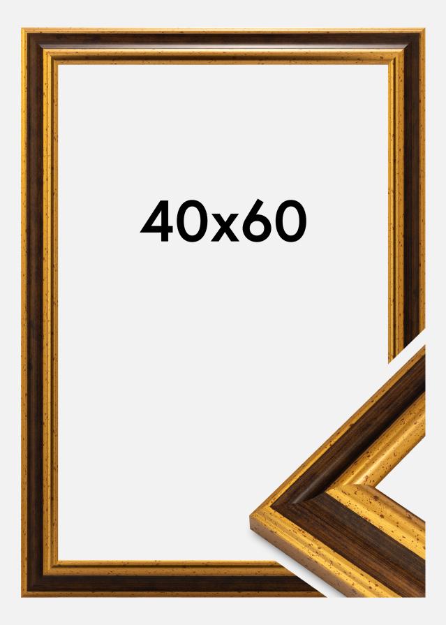 Raam Aberystwyth Akrüülklaas Kuld 40x60 cm