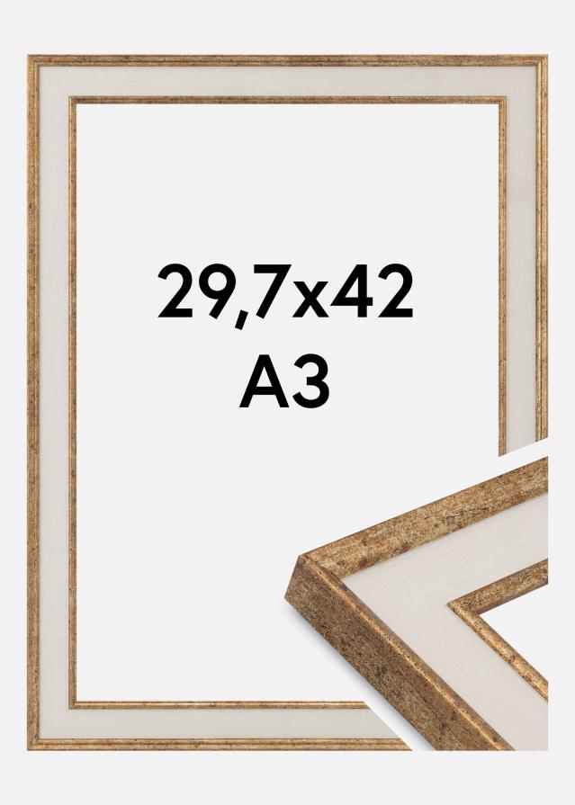 Raam Dolly Akrüülklaas Kuld 29.7x42 cm (A3)