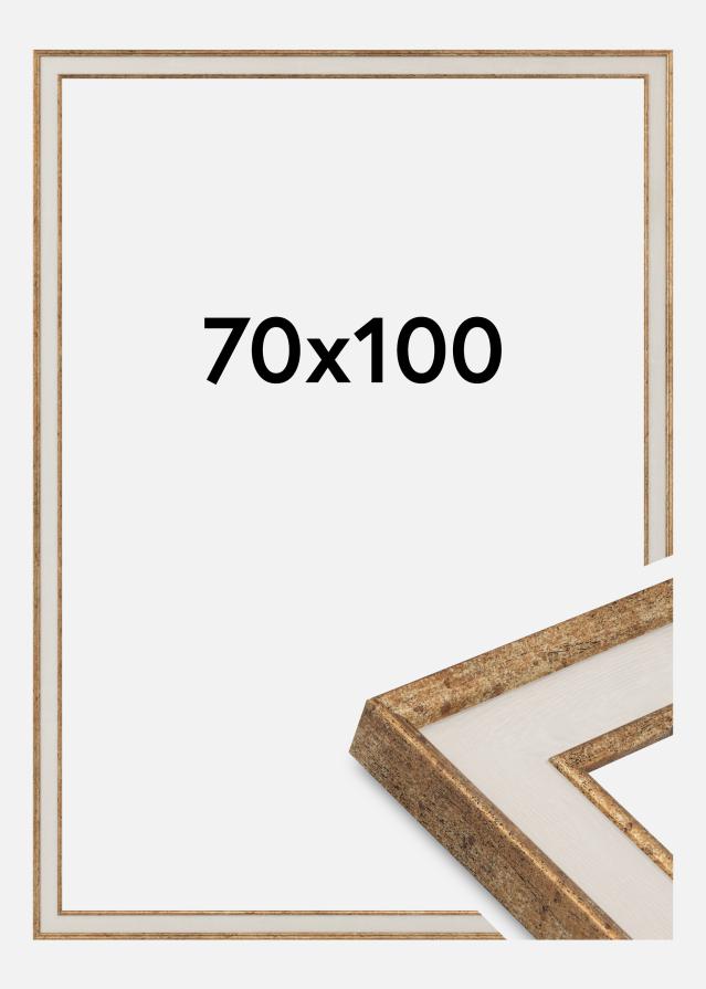 Raam Dolly Akrüülklaas Kuld 70x100 cm