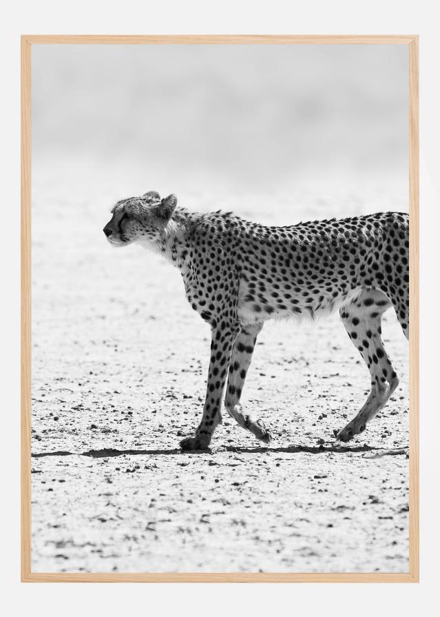 Silent Pursuit Plakat