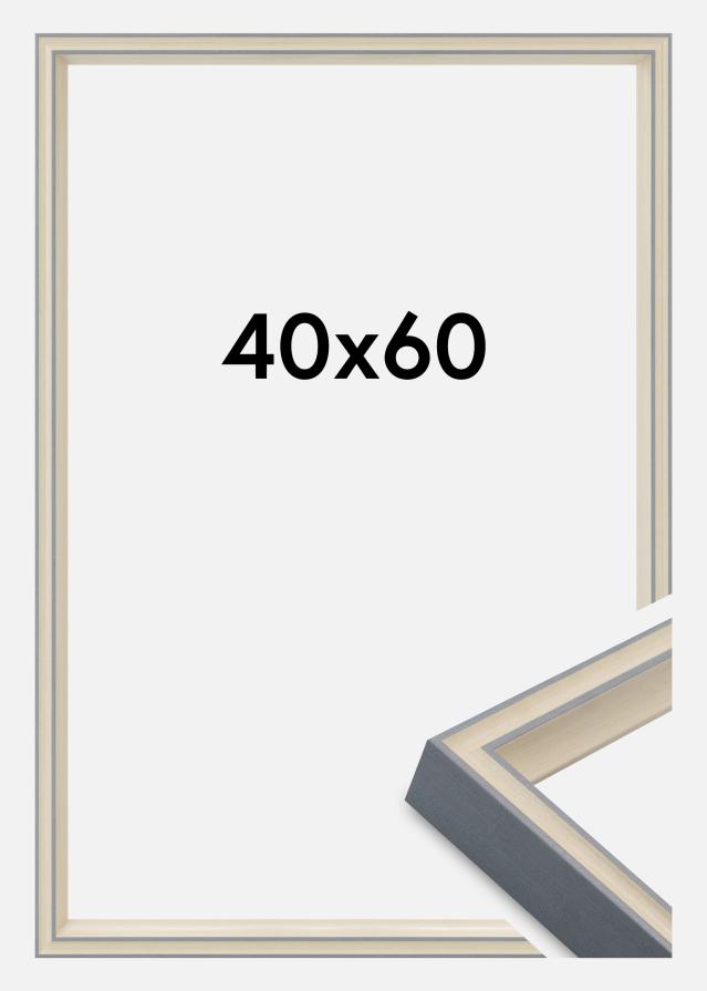 Raam Riga Akrüülklaas Hall 40x60 cm