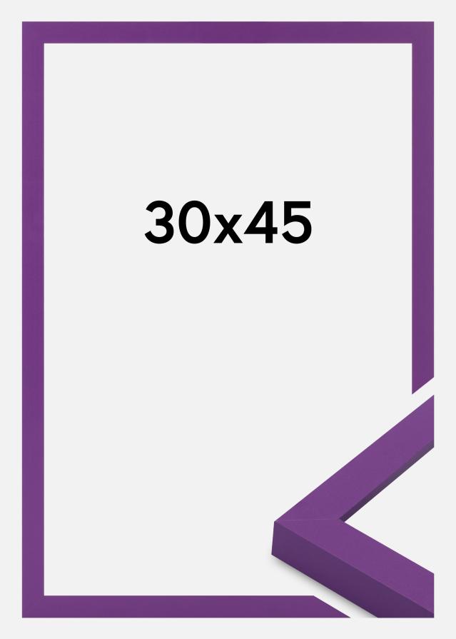 Raam Selection Akrüülklaas Deep Lilac 30x45 cm