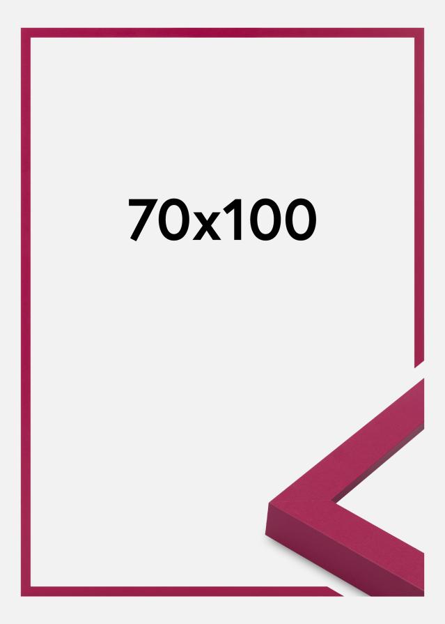 Raam Selection Akrüülklaas Hot Pink 70x100 cm