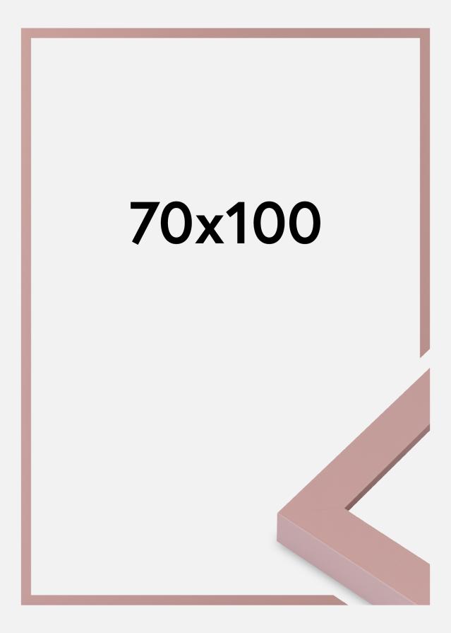 Raam Selection Akrüülklaas Peach 70x100 cm