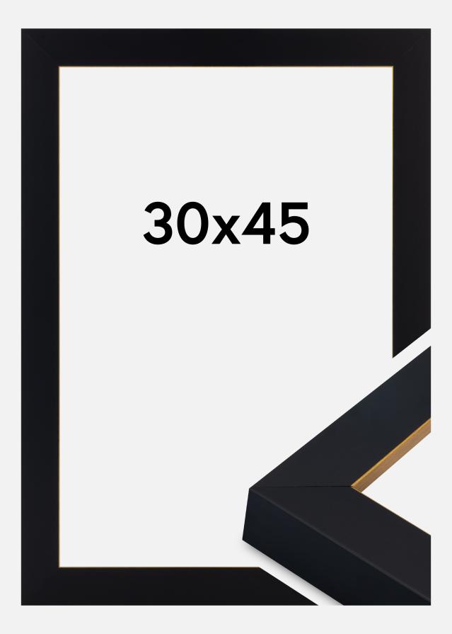 Raam Sussex Akrüülklaas Must/Kuldne 30x45 cm